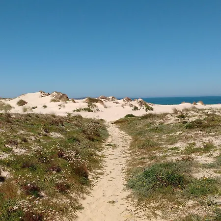 Zensations Baleal